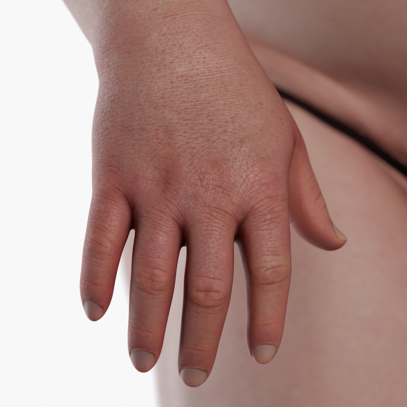 3D hand model from 3d body scan 